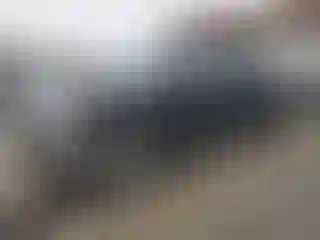 Vehicle Image- 2011 Ford F-150