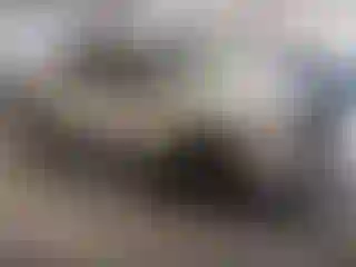 Vehicle Image- 2013 Ford F-150