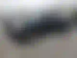 Vehicle Image- 2014 Ford F-150