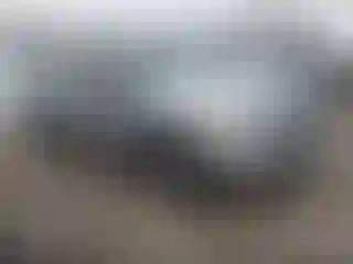 Vehicle Image- 2011 Ford F-150