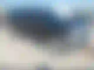 Vehicle Image- 2013 Ford F-150