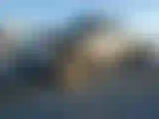 Vehicle Image- 2014 Ford F-150