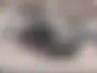 Vehicle Image- 2012 Ford F-150