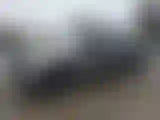 Vehicle Image- 2014 Ford F-150