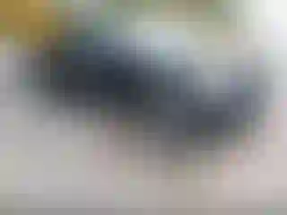 Vehicle Image- 2011 Ford F-150