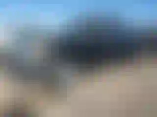 Vehicle Image- 2011 Ford F-150