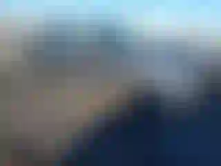 Vehicle Image- 2011 Ford F-150
