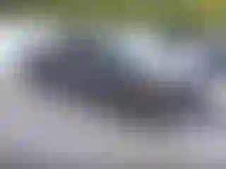 Vehicle Image- 2011 Ford F-150