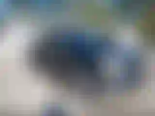 Vehicle Image- 2013 Ford F-150