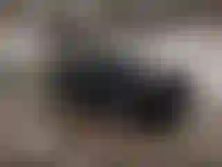 Vehicle Image- 2014 Ford F-150