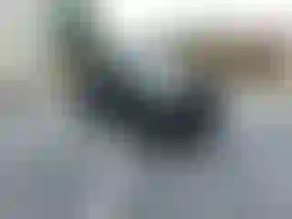 Vehicle Image- 2014 Ford F-150