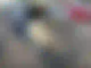 Vehicle Image- 2010 Ford F-150