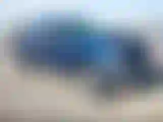 Vehicle Image- 2010 Ford F-150