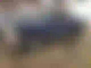 Vehicle Image- 2010 Ford F-150