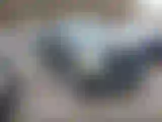 Vehicle Image- 2010 Ford F-150