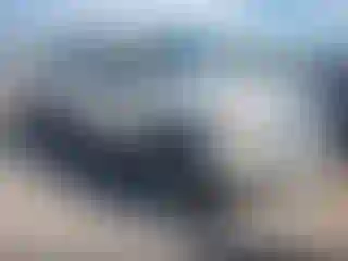 Vehicle Image- 2010 Ford F-150