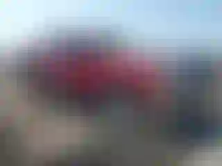 Vehicle Image- 2010 Ford F-150