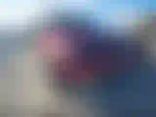 Vehicle Image- 2010 Ford F-150