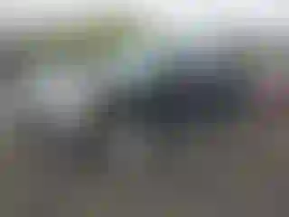 Vehicle Image- 2010 Ford F-150