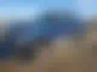 Vehicle Image- 2010 Ford F-150