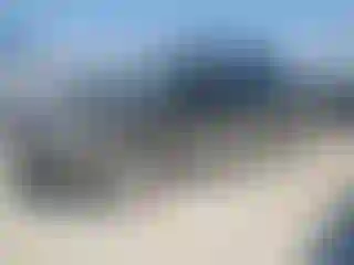 Vehicle Image- 2010 Ford F-150