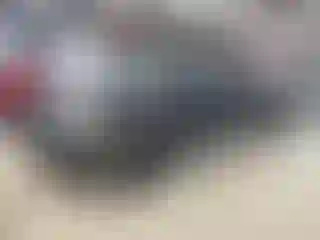 Vehicle Image- 2010 Ford F-150