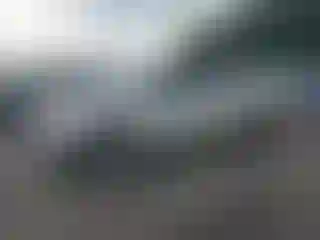 Vehicle Image- 2010 Ford F-150