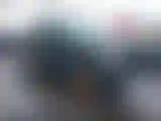 Vehicle Image- 2010 Ford F-150