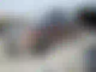 Vehicle Image- 2010 Ford F-150