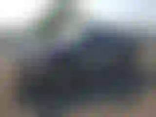 Vehicle Image- 2010 Ford F-150