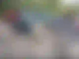 Vehicle Image- 2010 Ford F-150