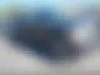 Vehicle Image- 2010 Ford F-150