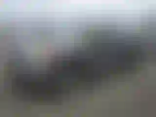 Vehicle Image- 2010 Ford F-150