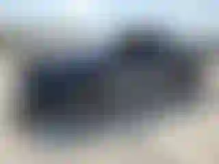 Vehicle Image- 2010 Ford F-150