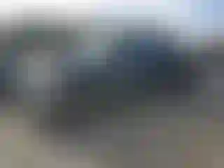 Vehicle Image- 2010 Ford F-150