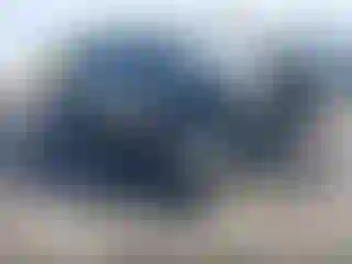 Vehicle Image- 2019 Ford F-150