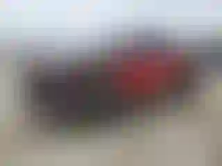 Vehicle Image- 2024 Ford F-150