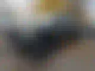 Vehicle Image- 2024 Ford F-150