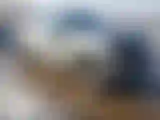 Vehicle Image- 2024 Ford F-150