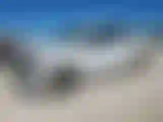 Vehicle Image- 2024 Ford F-150