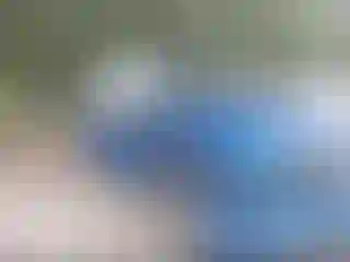 Vehicle Image- 2013 Ford F-150