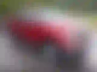 Vehicle Image- 2013 Ford F-150