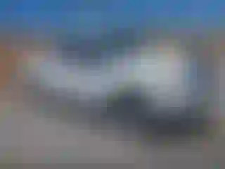 Vehicle Image- 2014 Ford F-150