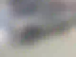 Vehicle Image- 2013 Ford F-150