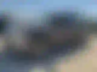 Vehicle Image- 2011 Ford F-150