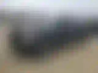 Vehicle Image- 2014 Ford F-150