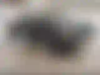 Vehicle Image- 2013 Ford F-150