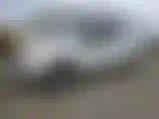 Vehicle Image- 2013 Ford F-150
