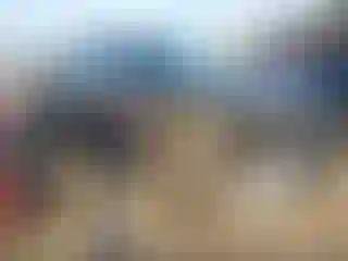 Vehicle Image- 2014 Ford F-150