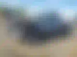Vehicle Image- 2011 Ford F-150